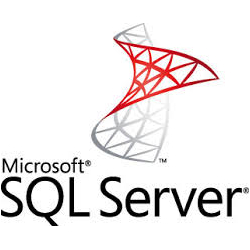 Microsoft SQL Server developer Jacksonville FL